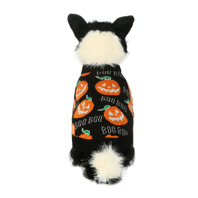 Gebreide Pompoen Huisdierentrui voor Katten en Honden – Warme Feestelijke Winterkleding voor Halloween | Sulvida