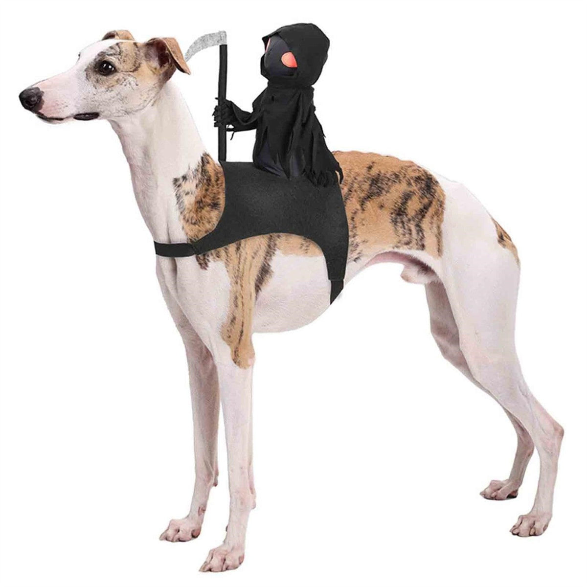 Hondenkostuum Skelet Zwart – Feestelijke Verkleedoutfit voor Hond, Grappige Carnaval Party Kleding Huisdier | Sulvida