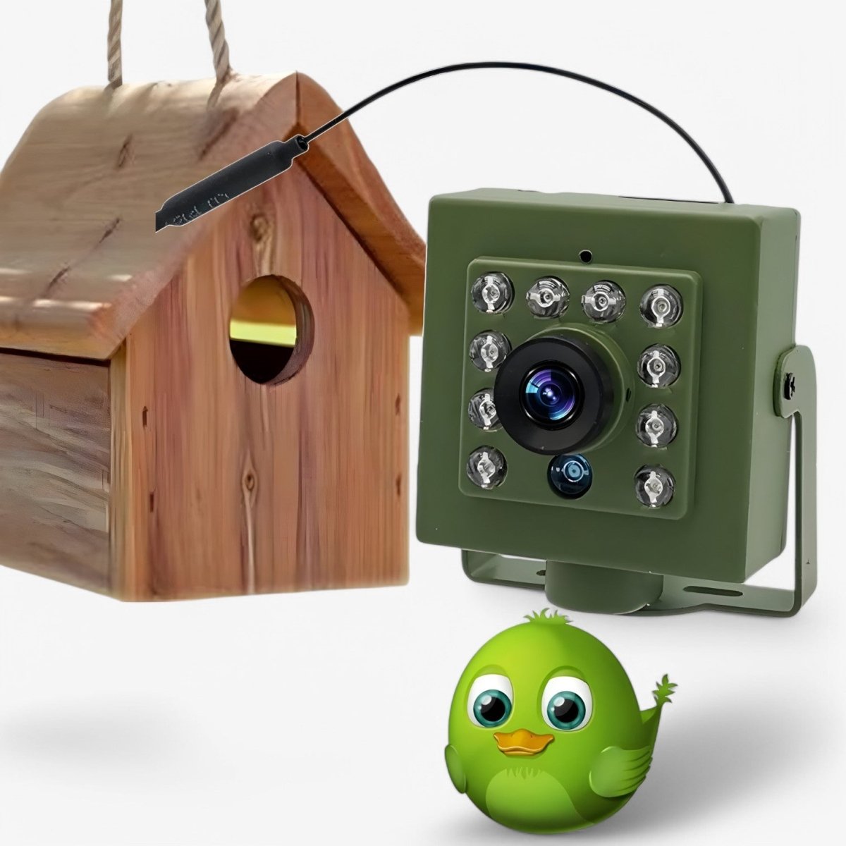 HD-Wildkamera mit Nachtsicht und Bewegungserkennung – 1080p Vogel- und Wildkamera mit App für den Garten | Sulvida