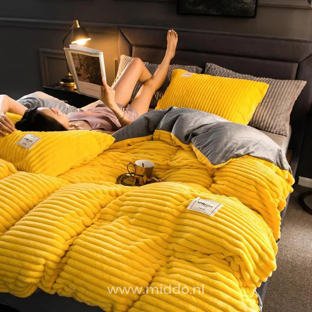 Housse de couette en velours corail, polaire douce et chaude, linge de lit d’hiver luxueux, unie, couverture en polaire teddy | Sulvida