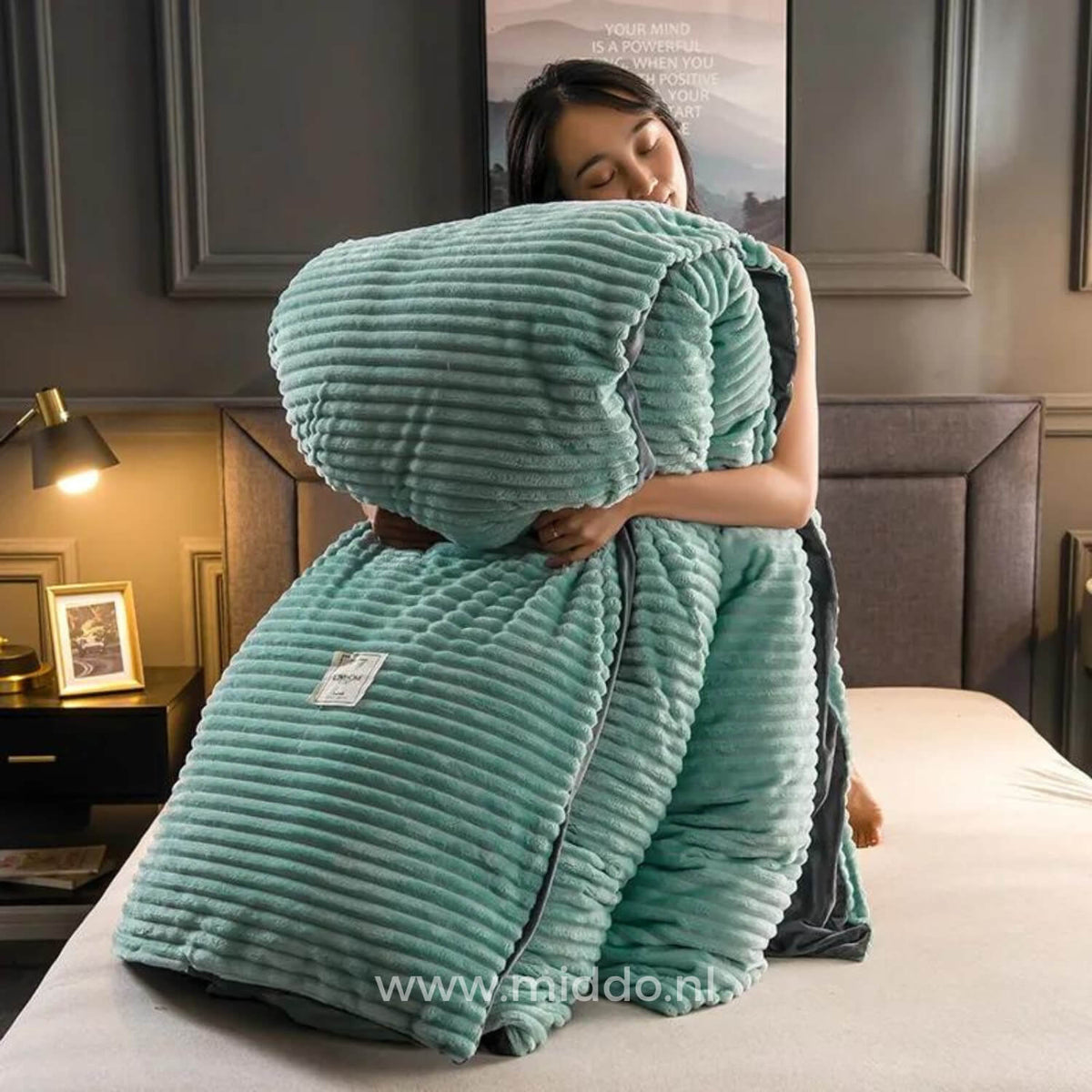Housse de couette en velours corail, polaire douce et chaude, linge de lit d’hiver luxueux, unie, couverture en polaire teddy | Sulvida