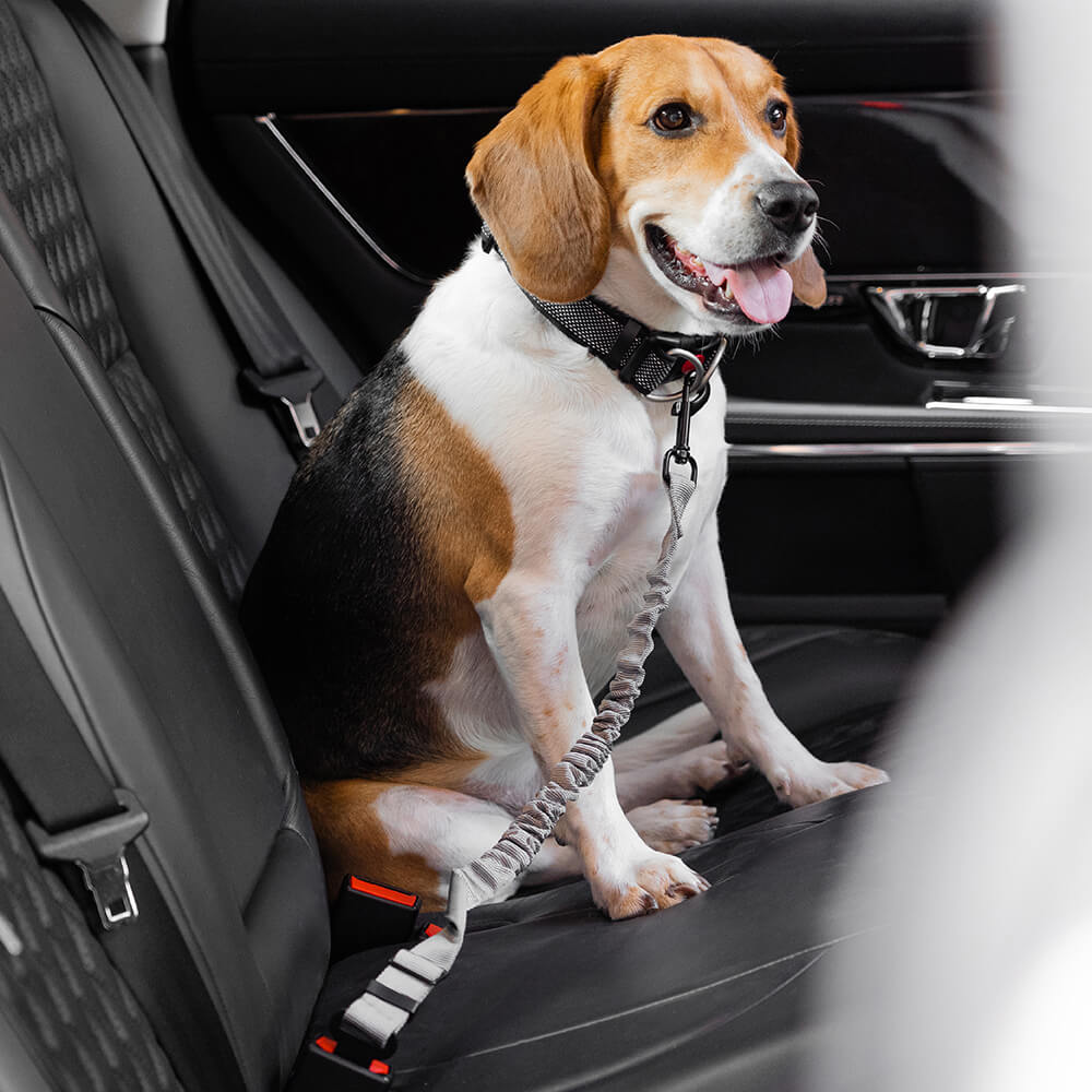 Autogordel voor Honden Verstelbaar Reflecterend Veiligheidsriem Harnas voor Veilig Auto Reizen met Huisdieren | Sulvida