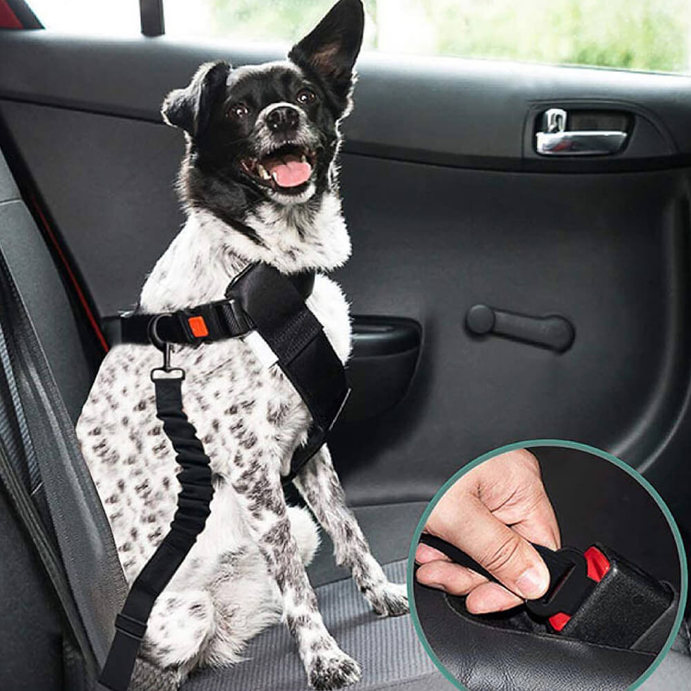Autogordel voor Honden Verstelbaar Reflecterend Veiligheidsriem Harnas voor Veilig Auto Reizen met Huisdieren | Sulvida