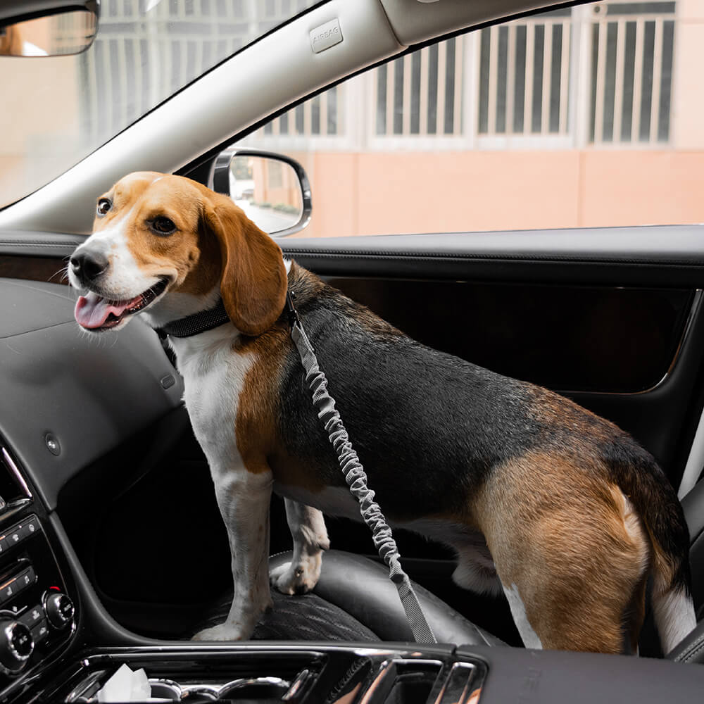 Autogordel voor Honden Verstelbaar Reflecterend Veiligheidsriem Harnas voor Veilig Auto Reizen met Huisdieren | Sulvida
