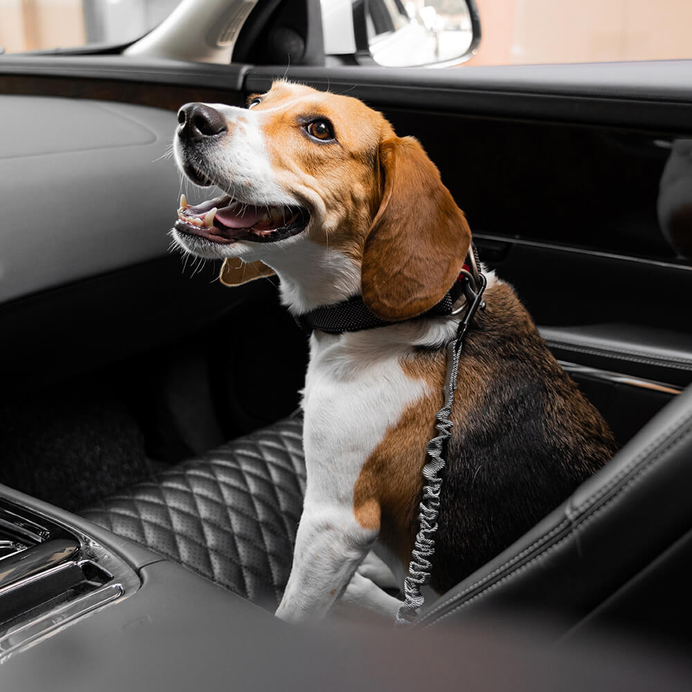 Autogordel voor Honden Verstelbaar Reflecterend Veiligheidsriem Harnas voor Veilig Auto Reizen met Huisdieren | Sulvida