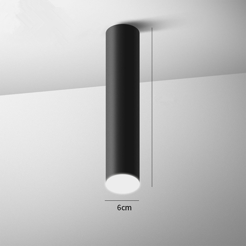 Opbouw LED Plafondspot Cilindervorm Zwart Wit Dimbaar Modern Spot Lamp Kantoor Woonkamer Hal Strak Design | Sulvida