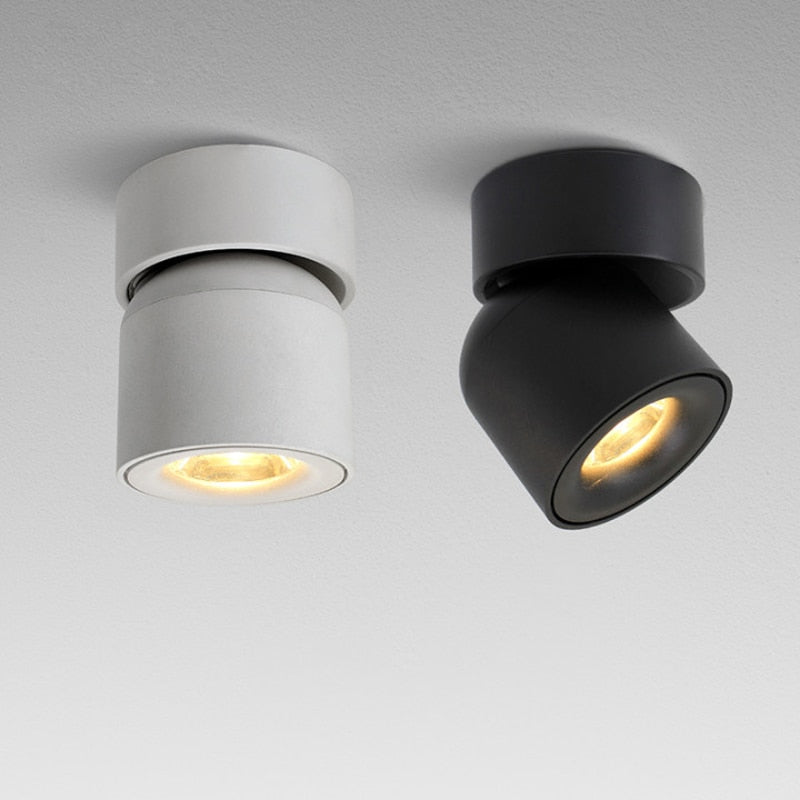 Verstelbare LED Opbouwspot Plafond Cilinder Aluminium Zwart Wit Dimbaar Richtbaar Moderne Accentverlichting | Sulvida