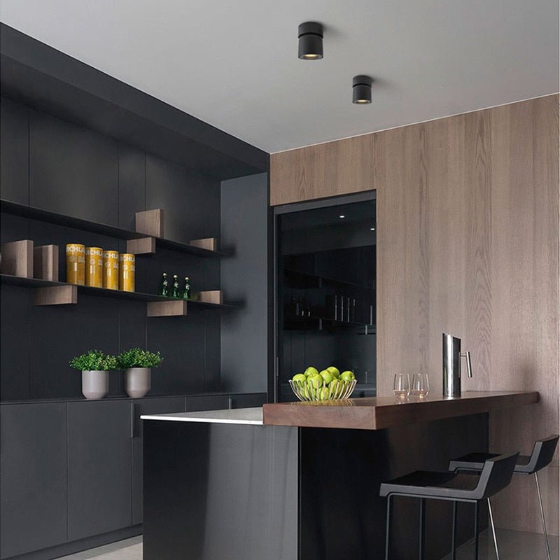 Verstelbare LED Opbouwspot Plafond Cilinder Aluminium Zwart Wit Dimbaar Richtbaar Moderne Accentverlichting | Sulvida