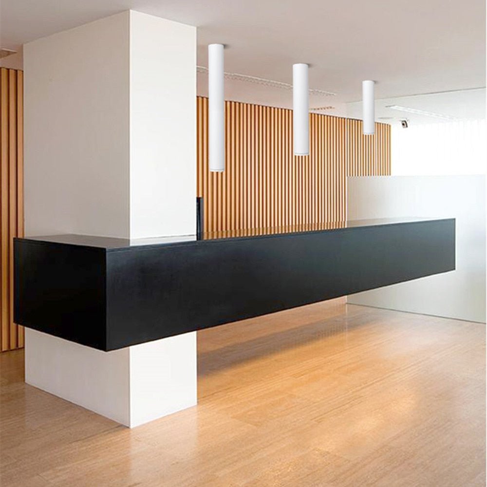 Opbouw LED Plafondspot Cilindervorm Zwart Wit Dimbaar Modern Spot Lamp Kantoor Woonkamer Hal Strak Design | Sulvida