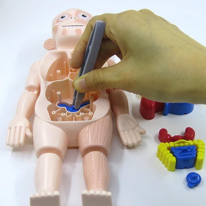 Anatomie Speelset voor Kinderen | Educatief Lichaam met Organen | Leerzaam Spel vanaf 4 Jaar | Menselijk Lichaam | Sulvida