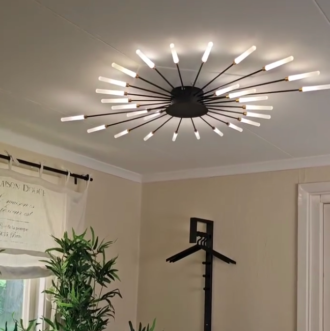 Plafondlamp vuurwerk-design zwart goud LED metaal acryl flush mount woonkamer slaapkamer modern luxe | Sulvida