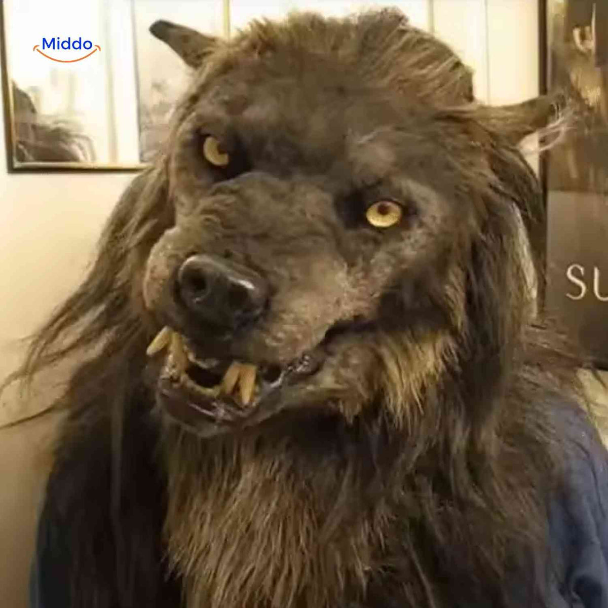 Wolfskop Halloween Masker Met Lichtgevende Ogen Latex Realistisch Horror Kostuum Feest Cosplay Accessoire | Sulvida