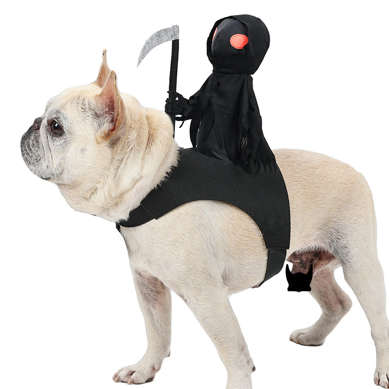 Huisdier Ridder Kostuum Halloween – Grappig Verkleedpak voor Hond en Kat met Capuchon en Middeleeuwse Krijgerslook | Sulvida