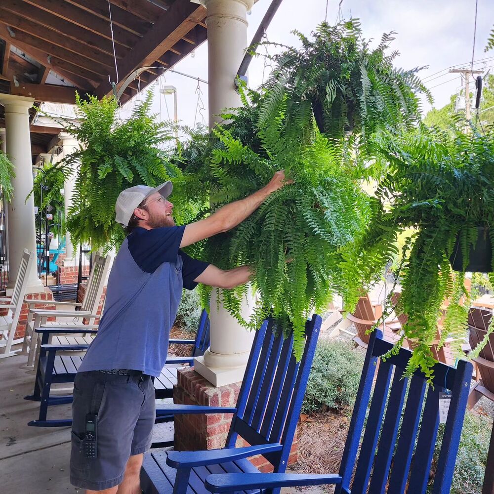 Kunstplant Bosvarens Set UV-Bestendig Waterbestendig 18 Stuks Kunstig Groen voor Binnen Buiten Wand Decoratie | Sulvida