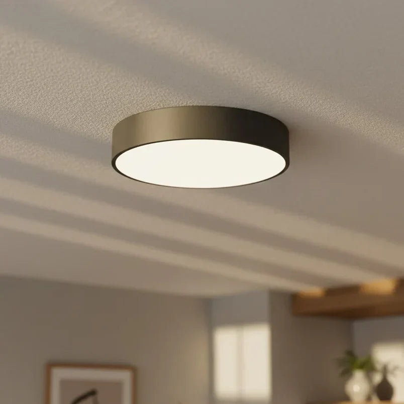 Ronde Plafondlamp IJzer Acryl LED Verlichting Modern Design Woonkamer Slaapkamer Eetkamer Hal Dimbaar | Sulvida