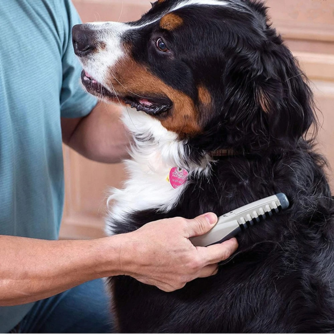 Knoopenkam voor Honden en Katten Ontklit Zacht Zonder Trekken Geschikt voor Alle Vachttypen Huisdieren | Sulvida