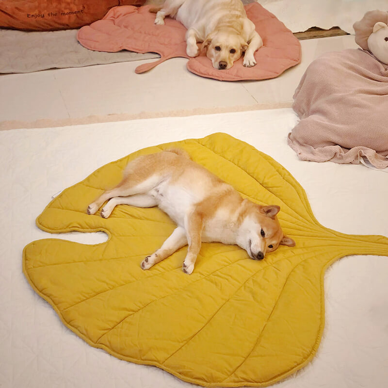 Hondendeken Bladvorm Katoenmix Zachte Kleed Grote Honden Bank Bescherming Decoratief Huisdierkleed Woonkamer | Sulvida