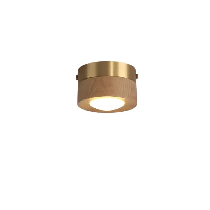 Plafondlamp Moderne Rechthoek Hout met LED 100×40 mm Warm Licht voor Slaapkamer Woonkamer Eetkamer Hal | Sulvida