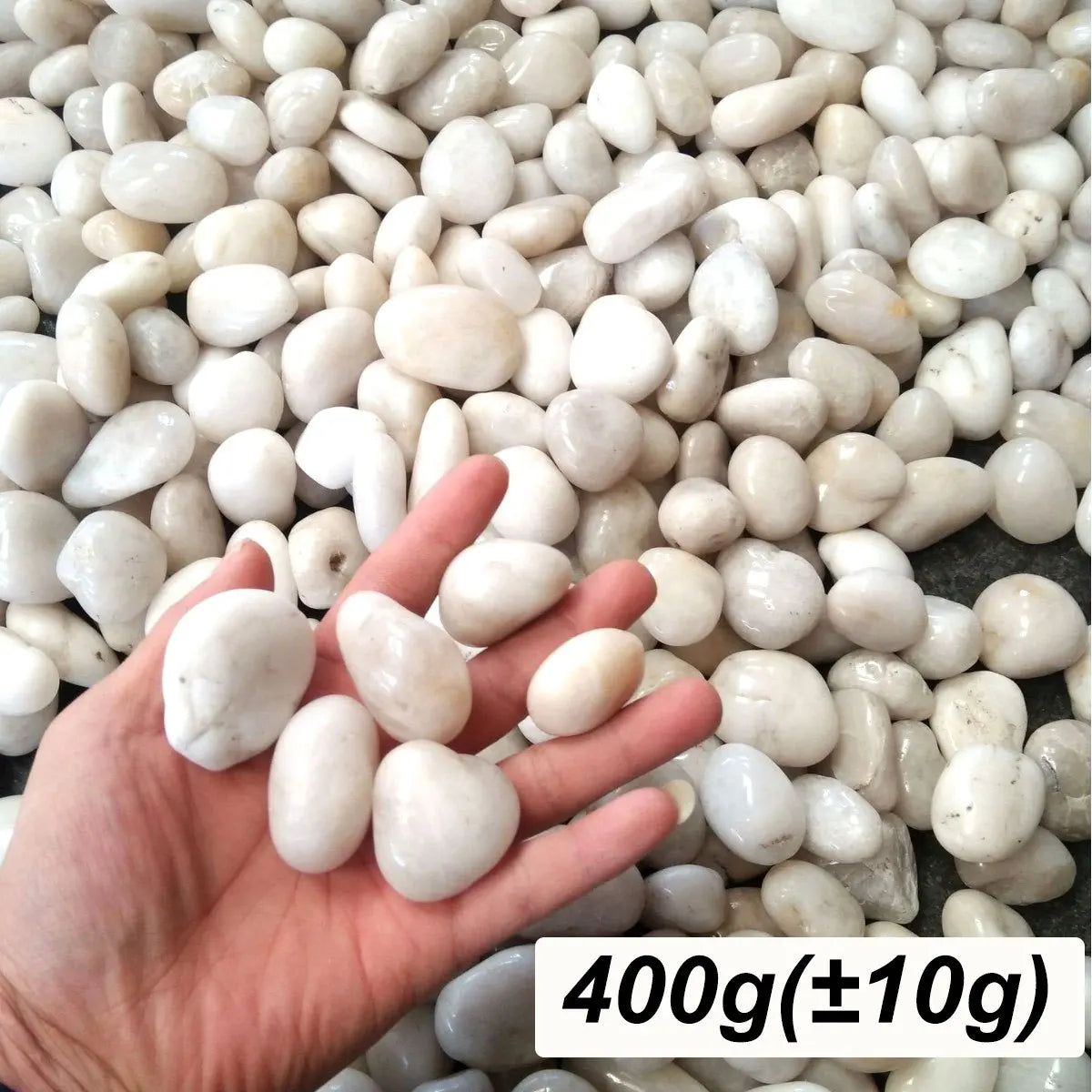 Gepolijste Rivierkiezelstenen Wit 2-3 cm – Decoratieve Tuinstenen Plantenbakken Aquarium Landschapsontwerp | Sulvida