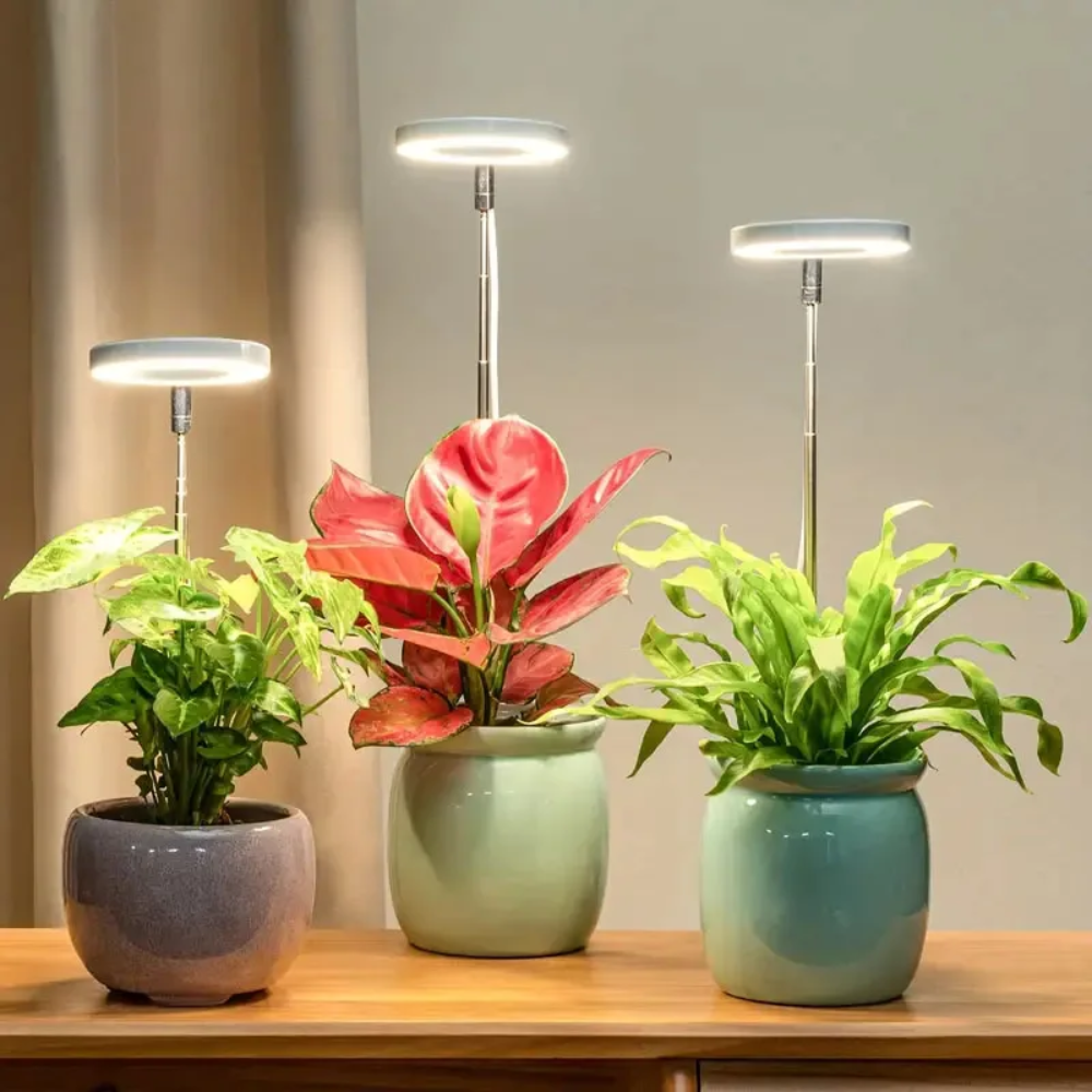 Groeilamp met Verstelbaar Statief voor Kamerplanten LED Volledig Spectrum 20-65cm Indoor Plantengroei | Sulvida