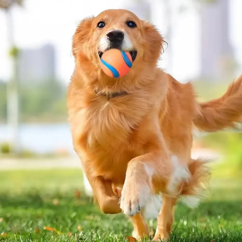 Rubber Speelbal voor Honden Veerkrachtig Werpbal Kauwspeelgoed Training Actief Spelen Huisdierenbal Duurzaam | Sulvida