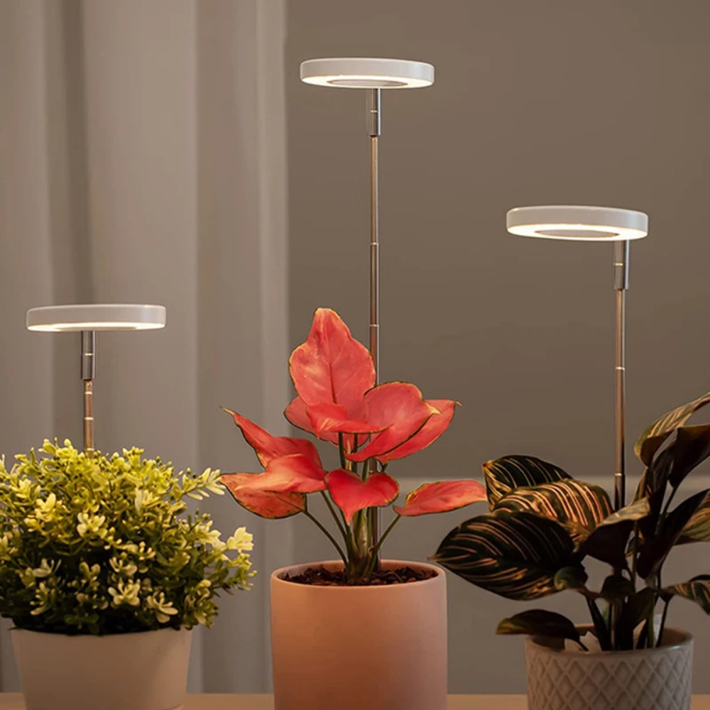Groeilamp met Verstelbaar Statief voor Kamerplanten LED Volledig Spectrum 20-65cm Indoor Plantengroei | Sulvida