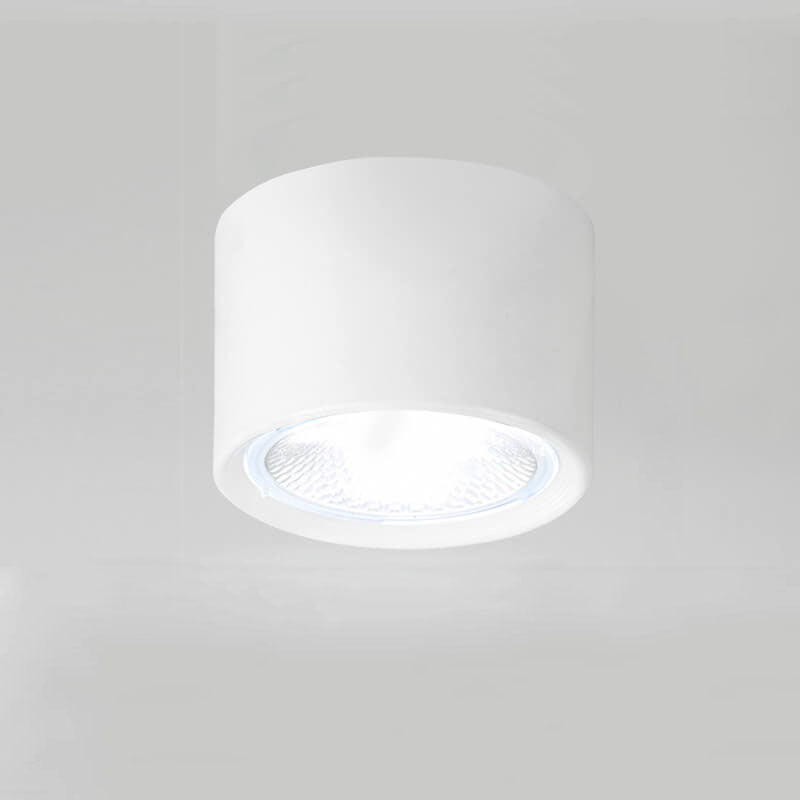 Plafondspot Cilindrisch LED Verlichting Modern Metaal Acryl voor Woonkamer Slaapkamer Stijlvol Minimalistisch | Sulvida