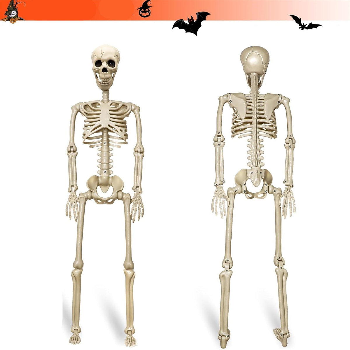 Verstelbaar Skelet Ophangdecoratie Halloween met Bewegende Gewrichten Griezelige Feestdecoratie Binnen Buiten | Sulvida
