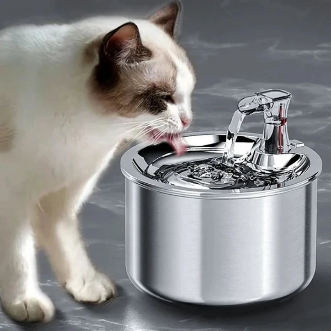 Fontaine pour chats avec détection de mouvement et système de filtration à 4 couches – Abreuvoir en acier inoxydable de 2 litres pour chats et chiens | Sulvida