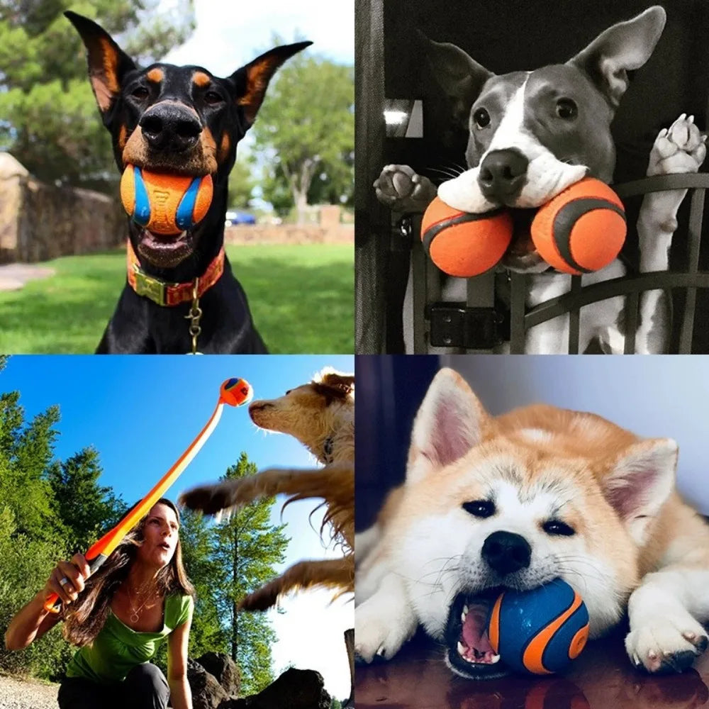 Rubber Speelbal voor Honden Veerkrachtig Werpbal Kauwspeelgoed Training Actief Spelen Huisdierenbal Duurzaam | Sulvida