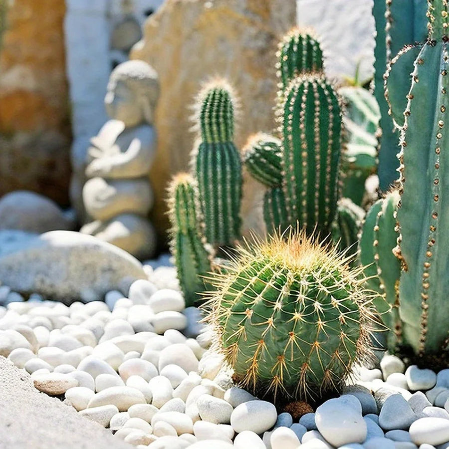 Gepolijste Rivierkiezelstenen Wit 2-3 cm – Decoratieve Tuinstenen Plantenbakken Aquarium Landschapsontwerp | Sulvida