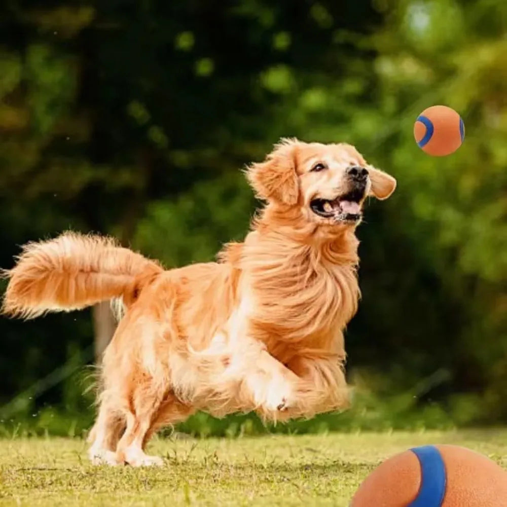 Rubber Speelbal voor Honden Veerkrachtig Werpbal Kauwspeelgoed Training Actief Spelen Huisdierenbal Duurzaam | Sulvida