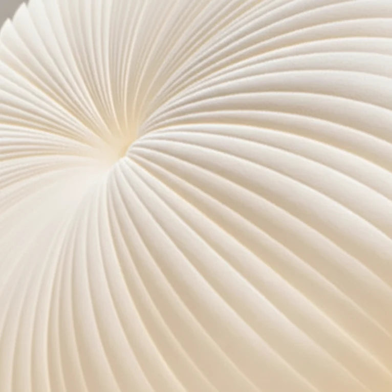Geplisseerde plafondlamp acryl plooikap diffuus licht woonkamer slaapkamer modern design sfeerverlichting | Sulvida
