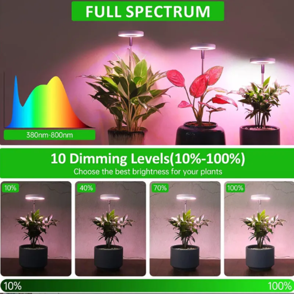 Groeilamp met Verstelbaar Statief voor Kamerplanten LED Volledig Spectrum 20-65cm Indoor Plantengroei | Sulvida
