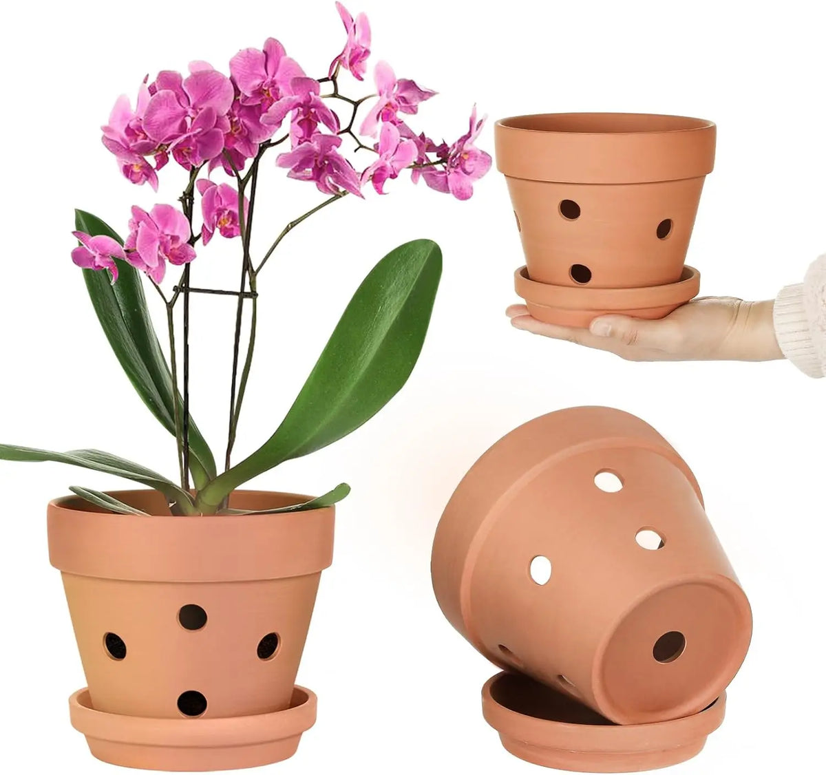 Lot de 6 pots pour orchidées en terre cuite avec trous de drainage et soucoupes, pots en argile pour plantes d’intérieur et d’extérieur | Sulvida