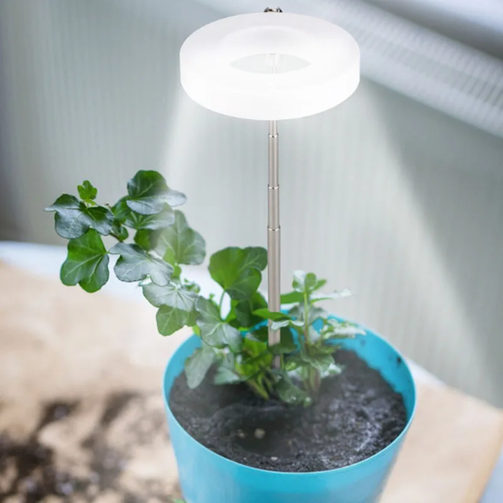 Groeilamp met Verstelbaar Statief voor Kamerplanten LED Volledig Spectrum 20-65cm Indoor Plantengroei | Sulvida