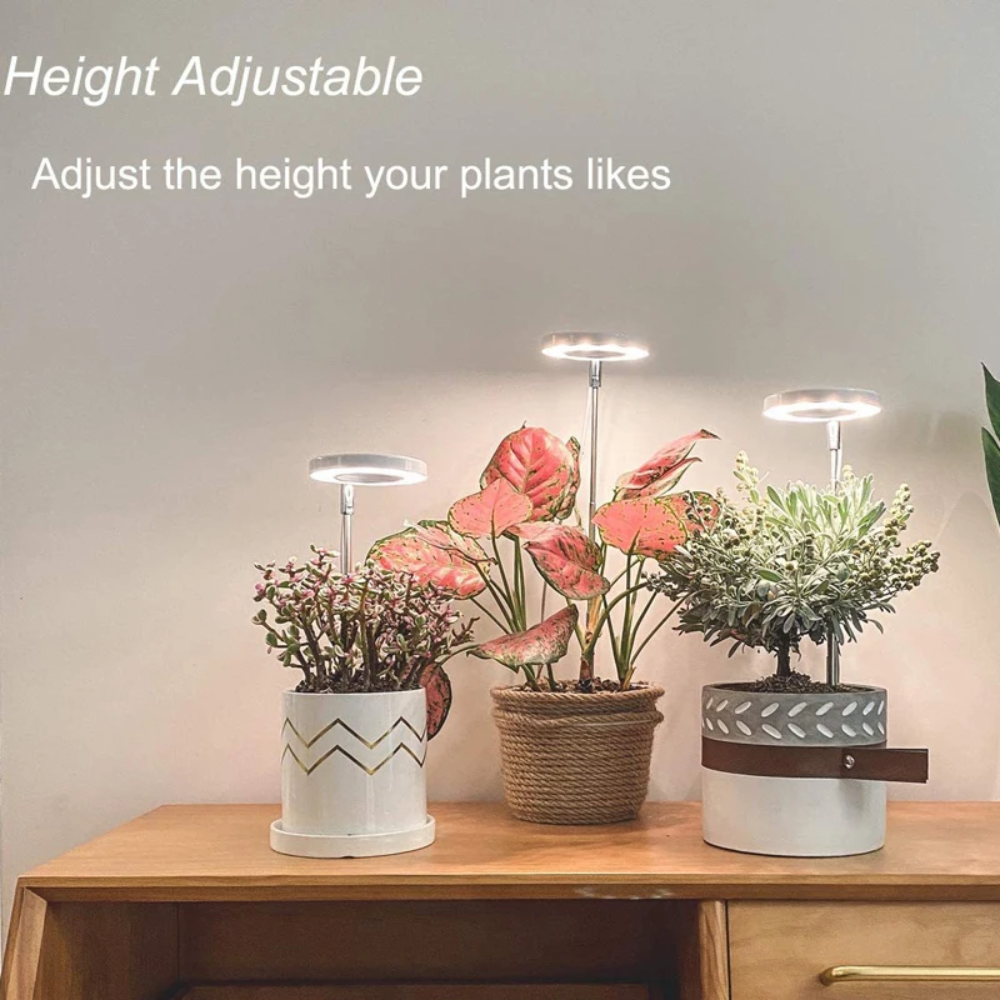 Groeilamp met Verstelbaar Statief voor Kamerplanten LED Volledig Spectrum 20-65cm Indoor Plantengroei | Sulvida