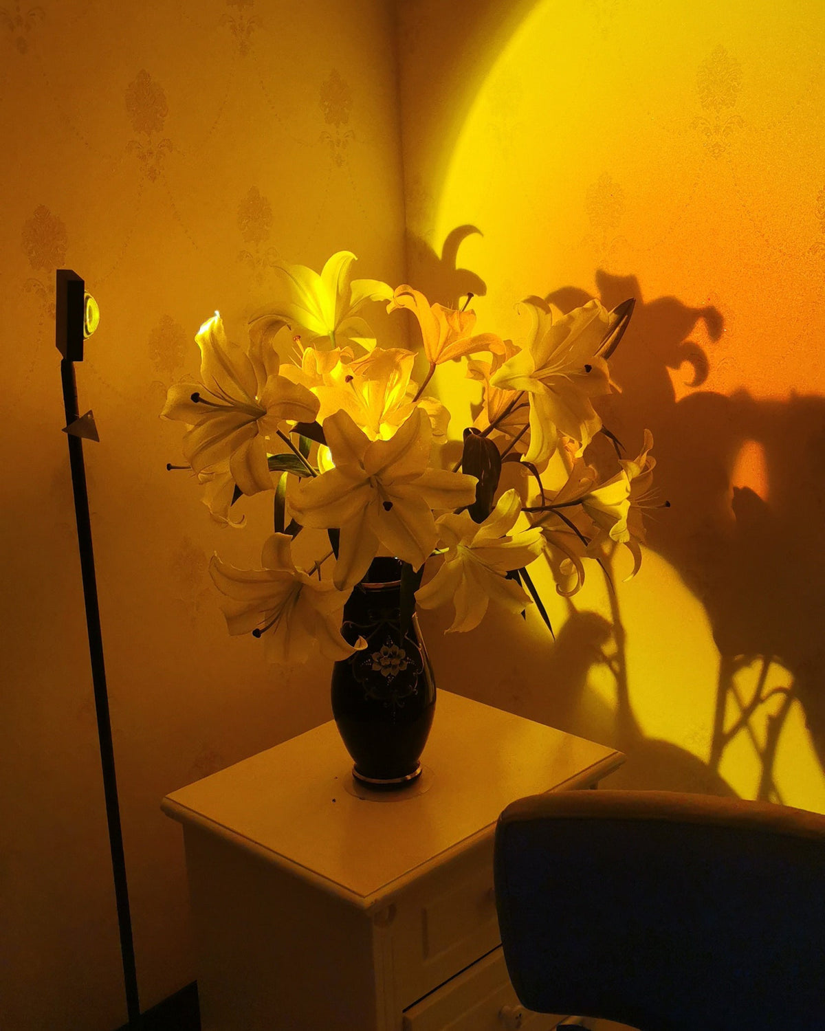 LED Staande Lamp met Halo Projectie Zwart Aluminium 180cm Sfeerverlichting voor Woonkamer Studio Modern Minimalistisch | Sulvida