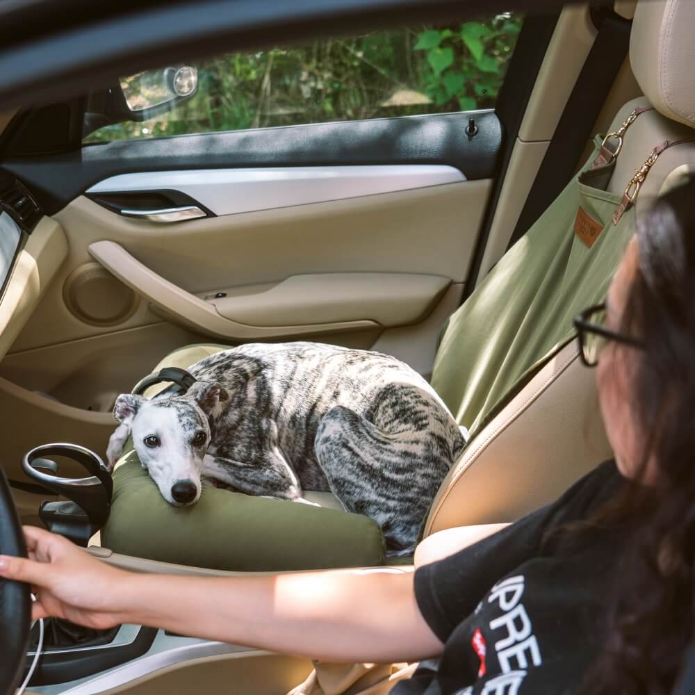Autostoel Beschermer Hond Met Bolsters Voor Achterbank - Luxe Reiszitje Grote Honden Ruiten Design Waterafstotend | Sulvida