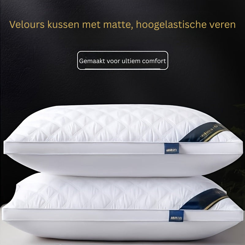 Slaapkussens Hypoallergeen Set van 2 Kussens 60x60 cm Ademend Matras Hoofdkussen Hotelslaap Microvezel | Sulvida