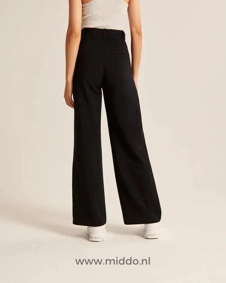Dames Pantalon Wijde Pijpen Casual Elastische Taille Comfortbroek Dagelijks Draagbaar Losse Pasvorm Streetwear | Sulvida