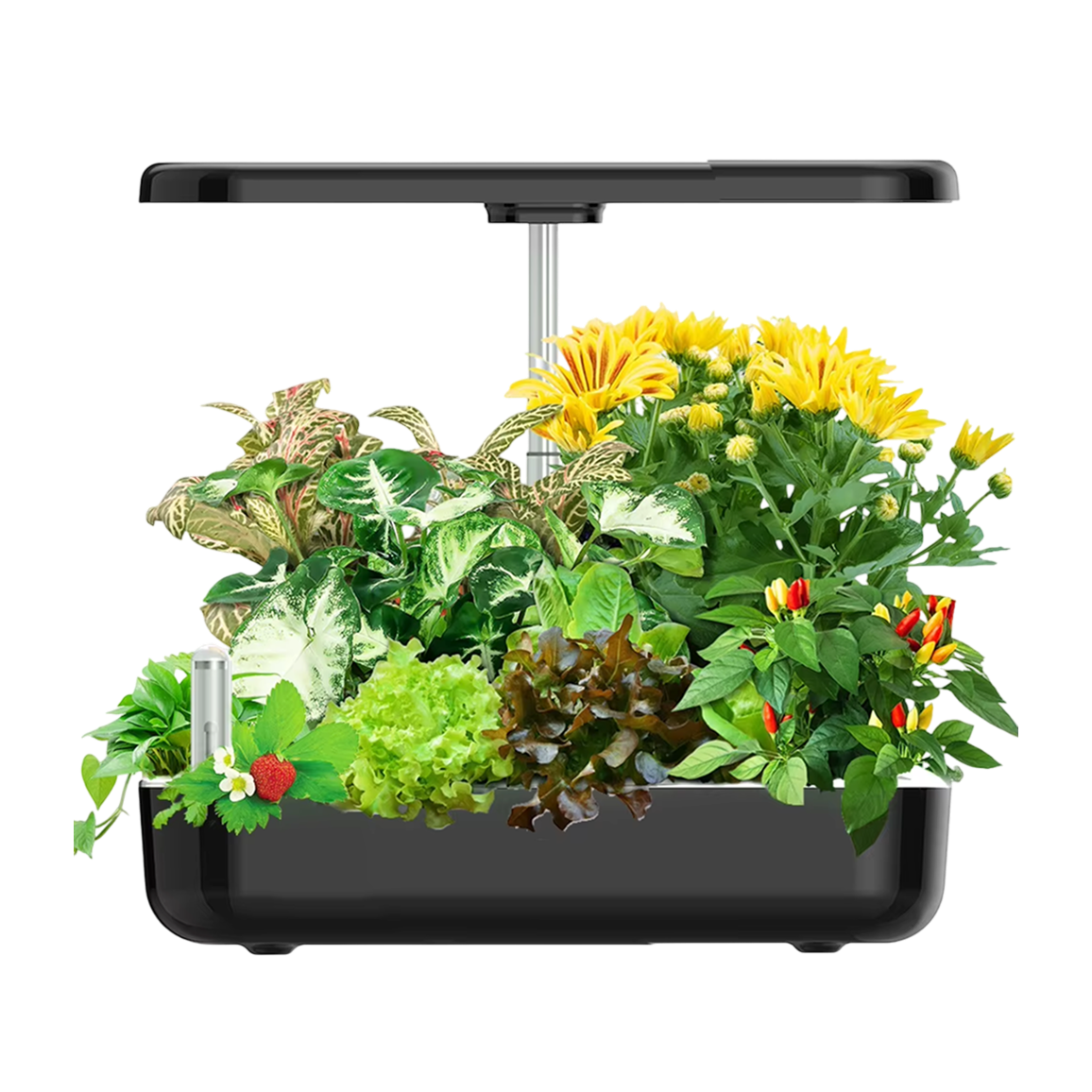 Kit de culture hydroponique avec éclairage LED, pour 12 plantes, jardin d’herbes aromatiques d’intérieur, lampe de croissance intelligente automatique | Sulvida