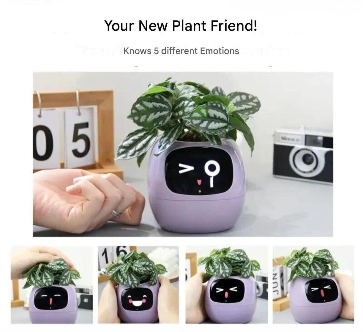 Slimme Plantenpot met Automatische Bewateringsfunctie Digitale Verzorgingsmonitor Sensor voor Kamerplanten | Sulvida