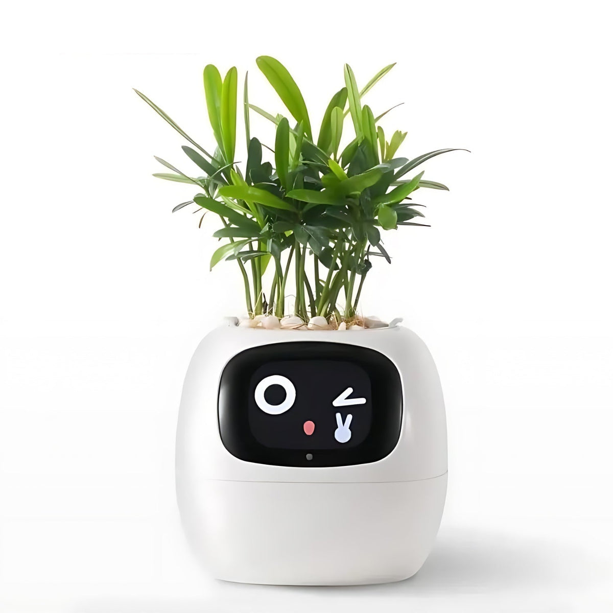 Slimme Plantenpot met Automatische Bewateringsfunctie Digitale Verzorgingsmonitor Sensor voor Kamerplanten | Sulvida