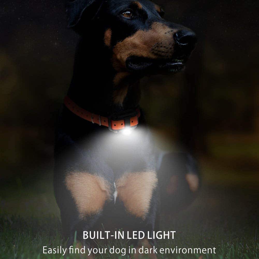 Trainingshalsband voor Honden met Afstandsbediening 800 Meter Bereik Oplaadbaar Waterbestendig Hondendressuur | Sulvida