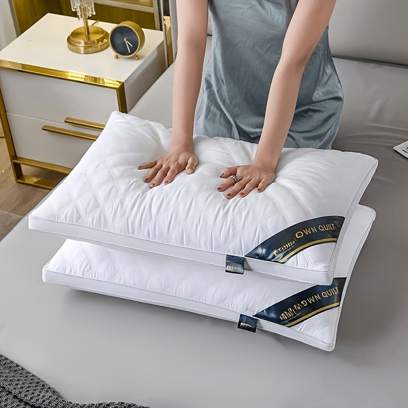Slaapkussens Hypoallergeen Set van 2 Kussens 60x60 cm Ademend Matras Hoofdkussen Hotelslaap Microvezel | Sulvida