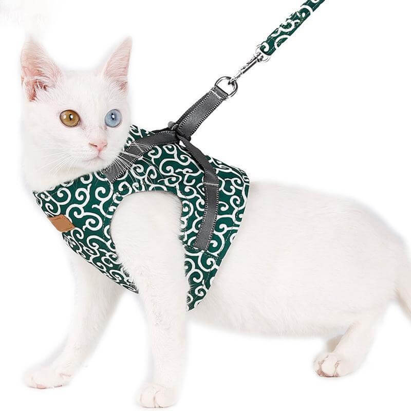 Kattenharnas met Lijn – Comfortabel Veiligheidsvest voor Katten voor Buiten – Ademend Mesh Tuigje voor Wandelen – Verstelbaar met Snelsluiting | Sulvida