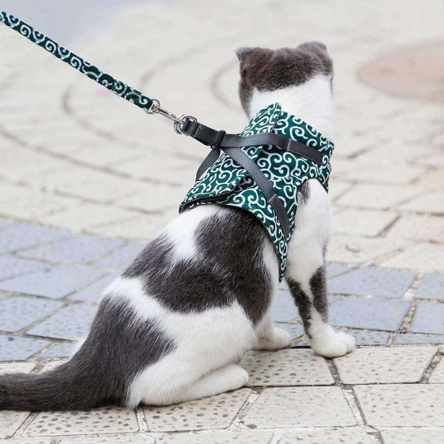 Kattenharnas met Lijn – Comfortabel Veiligheidsvest voor Katten voor Buiten – Ademend Mesh Tuigje voor Wandelen – Verstelbaar met Snelsluiting | Sulvida