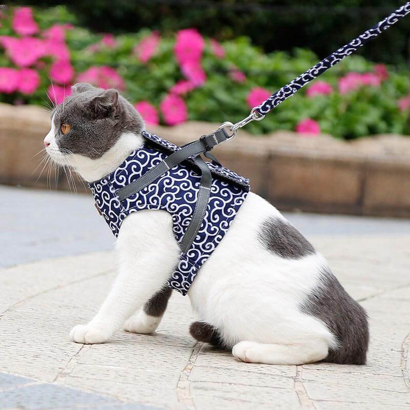 Kattenharnas met Lijn – Comfortabel Veiligheidsvest voor Katten voor Buiten – Ademend Mesh Tuigje voor Wandelen – Verstelbaar met Snelsluiting | Sulvida
