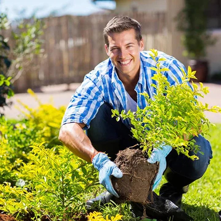 Plantenvoeding Bodemactivator Wateroplosbaar pH-Regulerend Concentraat Voor Alle Kamerplanten en Tuinplanten | Sulvida
